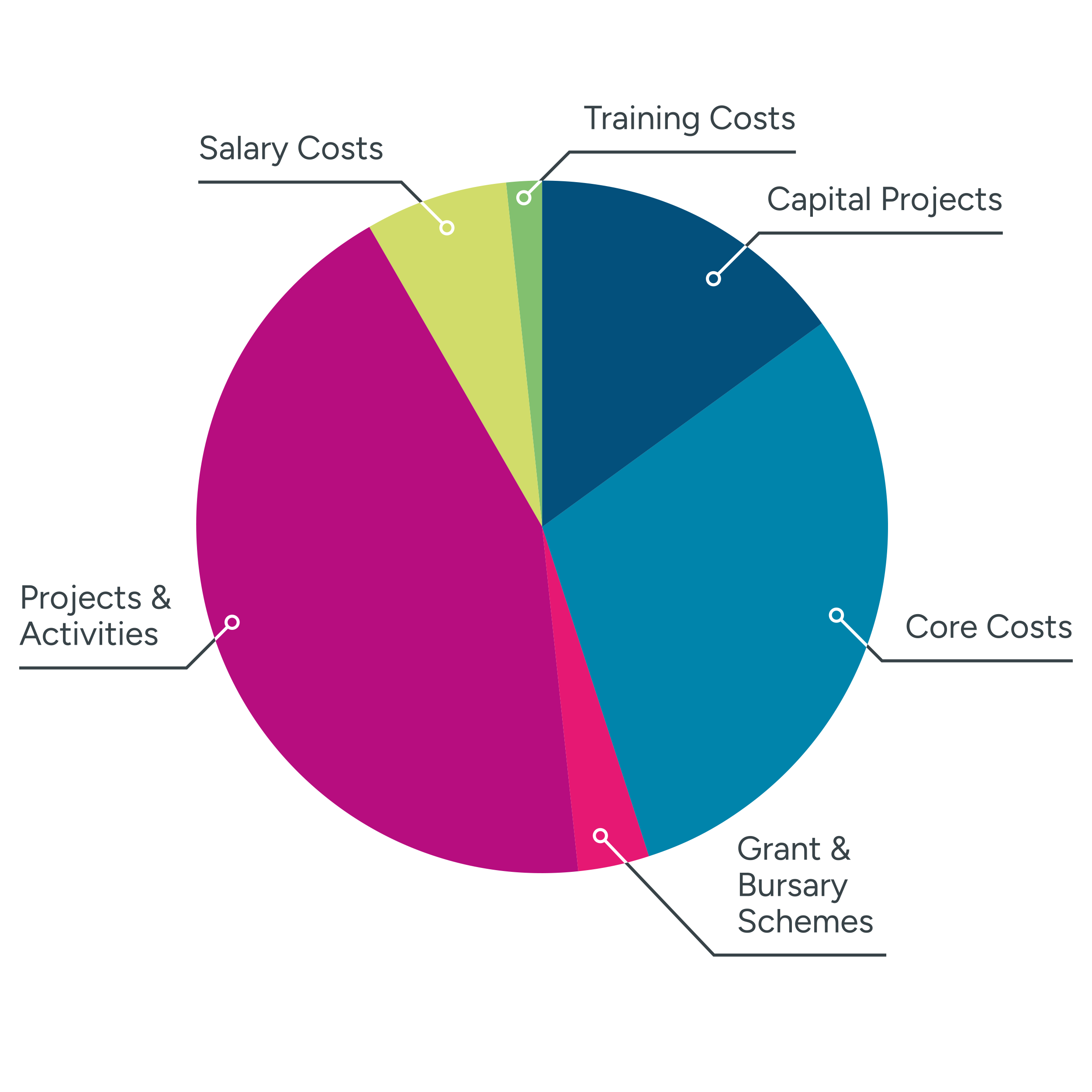 Pie chart showing split in types of funding allocated i.e salary costs and project costs