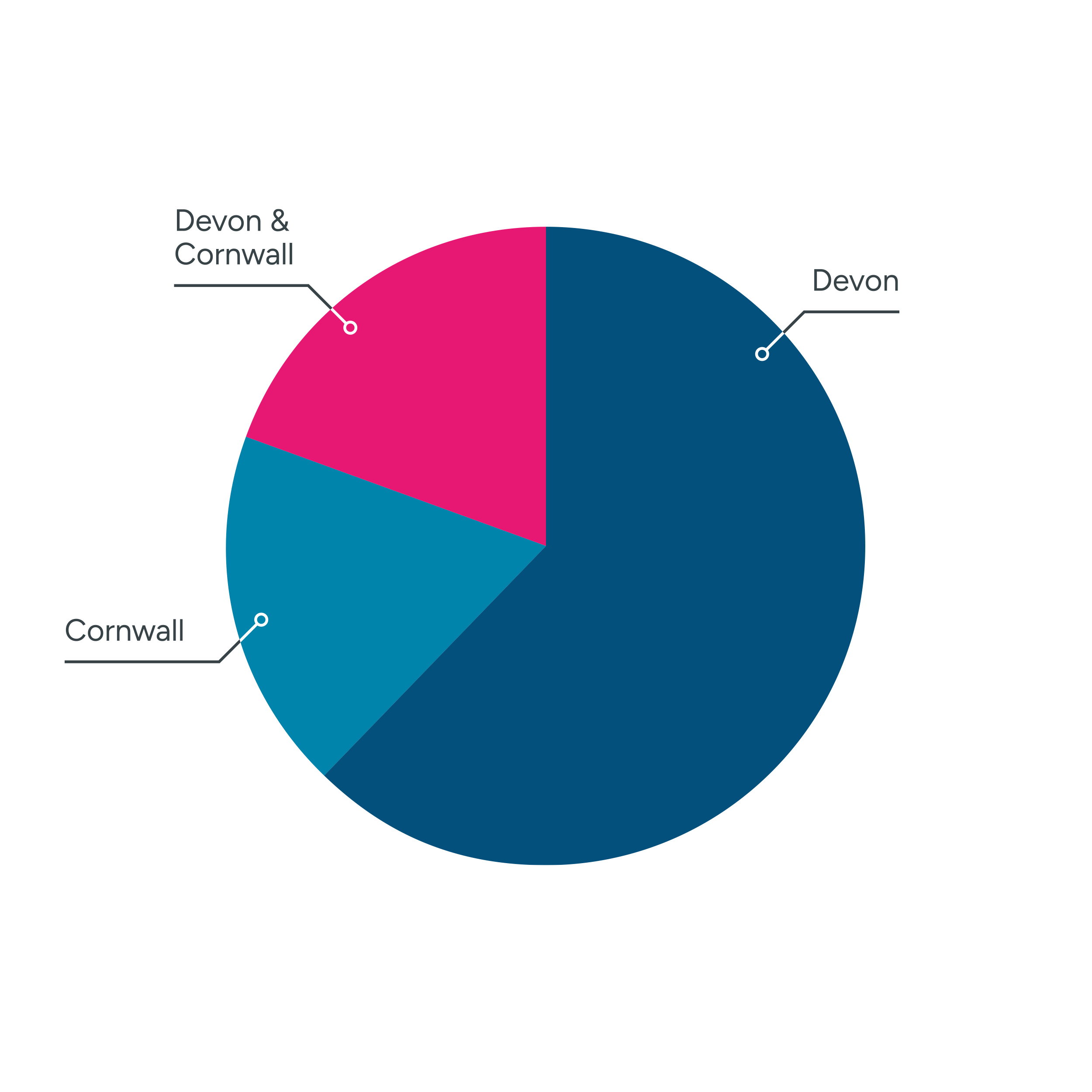 Pie Chart illustation