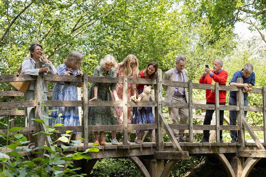 Winnie-the-Pooh: The Journey to Clare’s Legacy